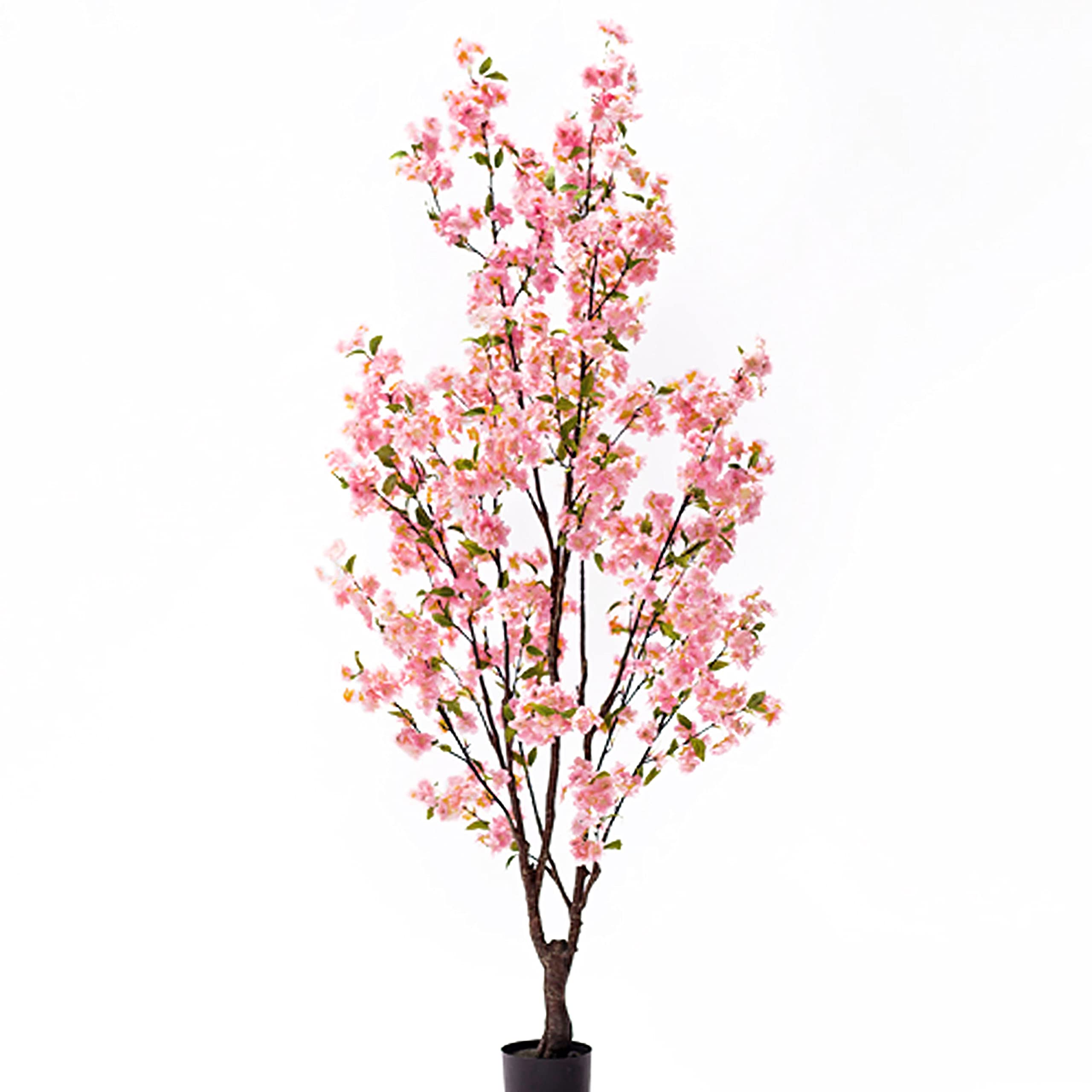 5.5ft Cherry Blossom Flower Tree in Pot 66" H X 34" W 32" Dp Pink - Citiesdeals