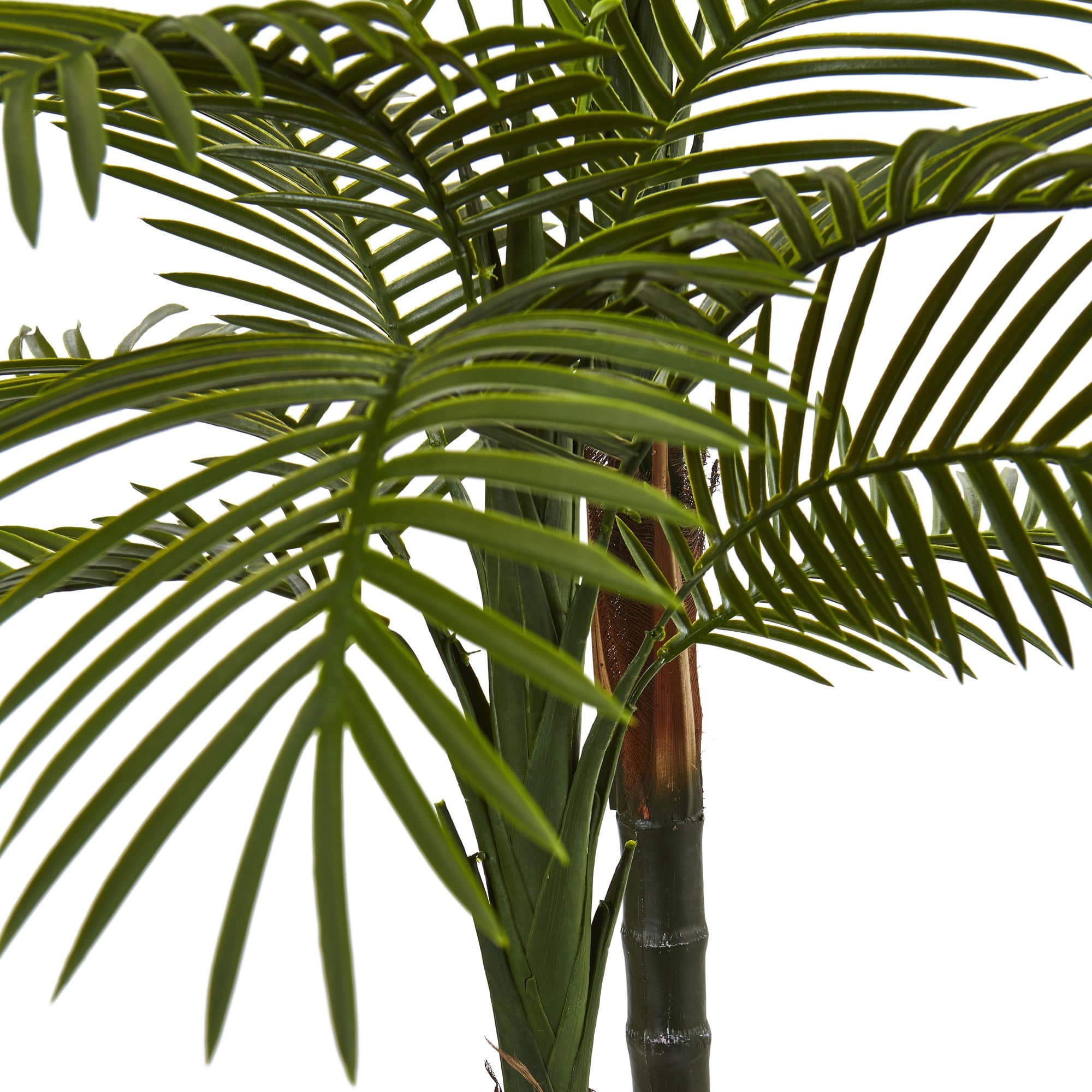 5.5ft Double Phoenix Robellini Palm Tree Tall Artificial Indoor Outdoor - Citiesdeals