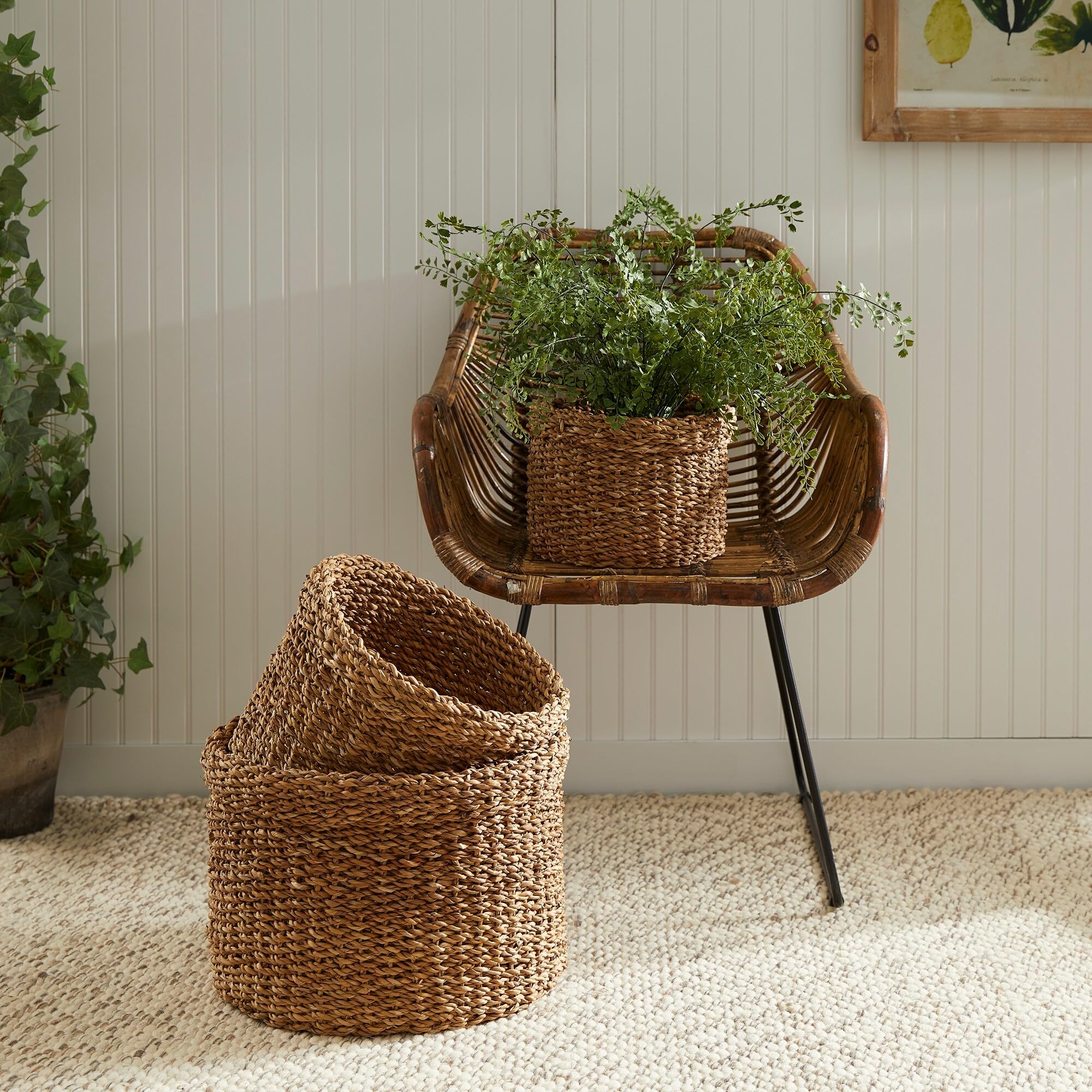 Seagrass Round Baskets With Cuffs Set Of 3 - Citiesdeals